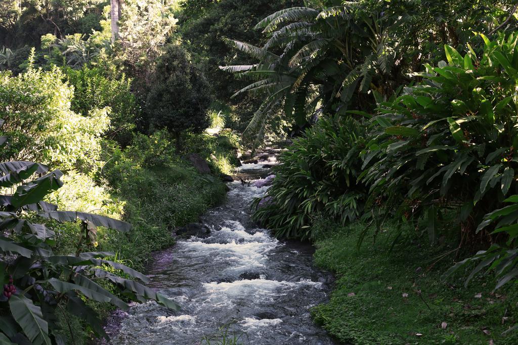 Valle Escondido Wellness Resort Boquete Ngoại thất bức ảnh